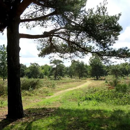 Sfeervol Op De Veluwe 2-6 Personen Пюттен
