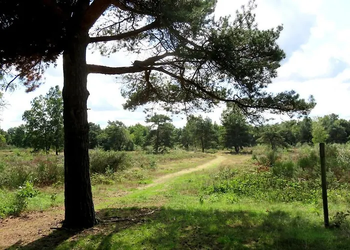 Sfeervol Op De Veluwe 2-6 Personen Putten